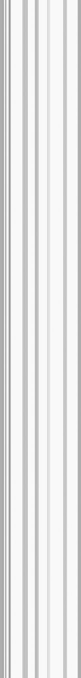 Pilasterschaft Monselice – 240 × 9,7 cm